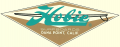 Hobie surfboards logo.png