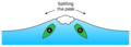 Etiquette splitting peak.svg